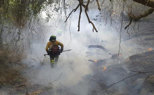 Almost 1,000 workers drafted in to fight and manage the Pujerra forest fire